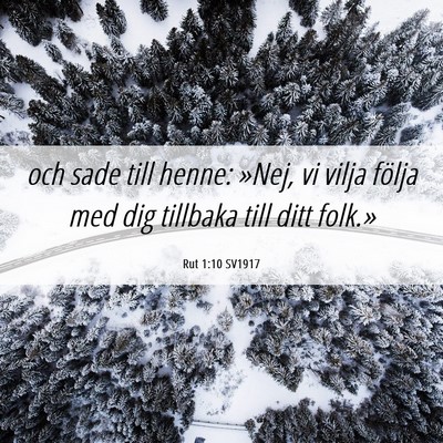 Picture 06 - Rut 1:10 SV1917 - och sade till henne: »Nej, vi vilja följa med - Bible Verse Picture