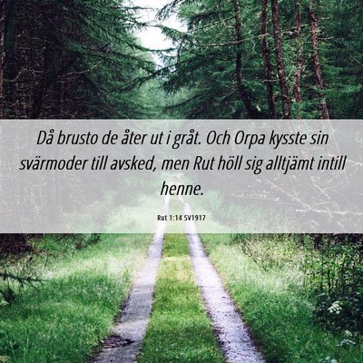 Picture 06 - Rut 1:14 SV1917 - Då brusto de åter ut i gråt. Och Orpa kysste - Bible Verse Picture