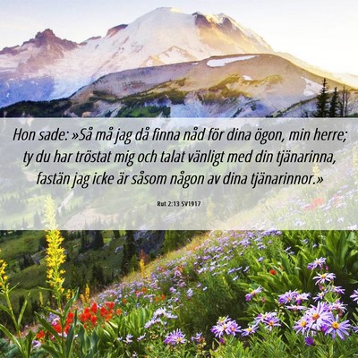 Picture 06 - Rut 2:13 SV1917 - Hon sade: »Så må jag då finna nåd för dina - Bible Verse Picture