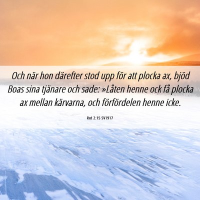 Picture 06 - Rut 2:15 SV1917 - Och när hon därefter stod upp för att plocka - Bible Verse Picture