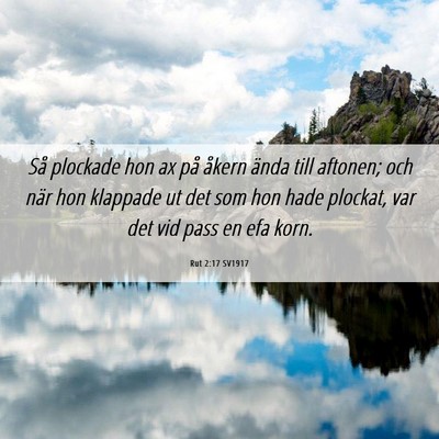 Picture 06 - Rut 2:17 SV1917 - Så plockade hon ax på åkern ända till - Bible Verse Picture