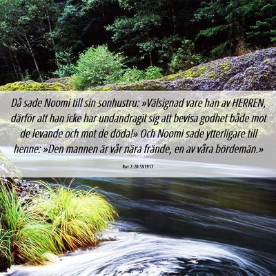Picture 06 - Rut 2:20 SV1917 - Då sade Noomi till sin sonhustru: »Välsignad - Bible Verse Picture