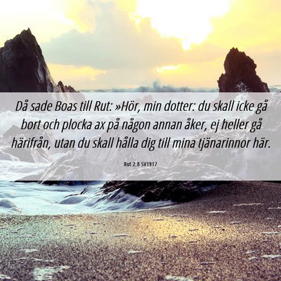 Picture 06 - Rut 2:8 SV1917 - Då sade Boas till Rut: »Hör, min dotter: du - Bible Verse Picture