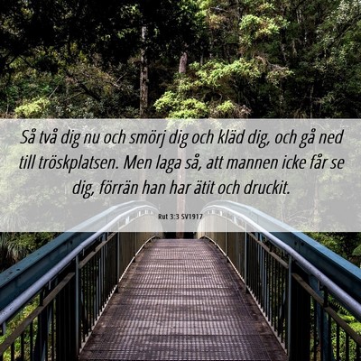 Picture 06 - Rut 3:3 SV1917 - Så två dig nu och smörj dig och kläd dig, och - Bible Verse Picture
