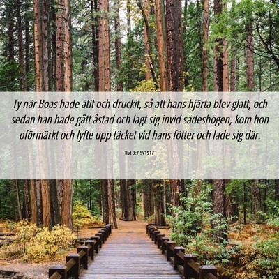 Picture 06 - Rut 3:7 SV1917 - Ty när Boas hade ätit och druckit, så att hans - Bible Verse Picture