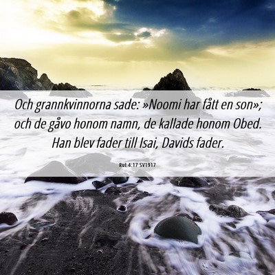 Picture 06 - Rut 4:17 SV1917 - Och grannkvinnorna sade: »Noomi har fått en - Bible Verse Picture