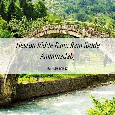 Picture 06 - Rut 4:19 SV1917 - Hesron födde Ram; Ram födde - Bible Verse Picture