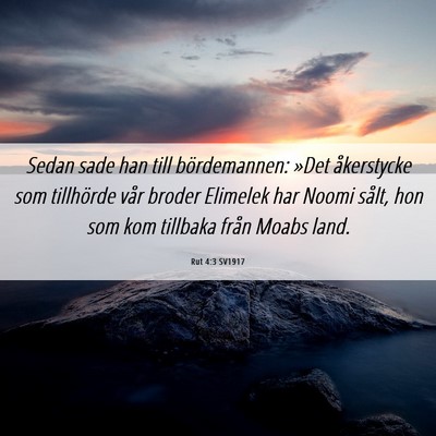 Picture 06 - Rut 4:3 SV1917 - Sedan sade han till bördemannen: »Det - Bible Verse Picture