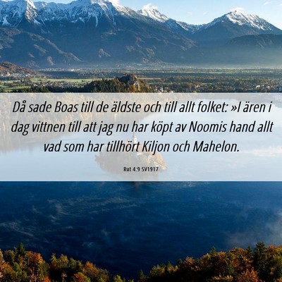Picture 06 - Rut 4:9 SV1917 - Då sade Boas till de äldste och till allt - Bible Verse Picture