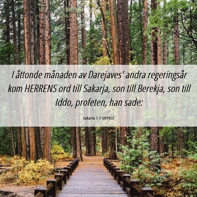 Picture 06 - Sakaria 1:1 SV1917 - I åttonde månaden av Darejaves' andra - Bible Verse Picture