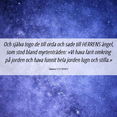 Picture 06 - Sakaria 1:11 SV1917 - Och själva togo de till orda och sade till - Bible Verse Picture