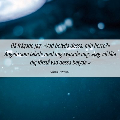 Picture 06 - Sakaria 1:9 SV1917 - Då frågade jag: »Vad betyda dessa, min - Bible Verse Picture