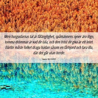 Picture 06 - Sakaria 10:2 SV1917 - Men husgudarnas tal är fåfänglighet, - Bible Verse Picture