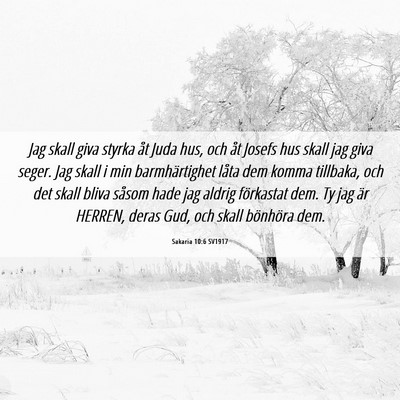 Picture 06 - Sakaria 10:6 SV1917 - Jag skall giva styrka åt Juda hus, och åt - Bible Verse Picture