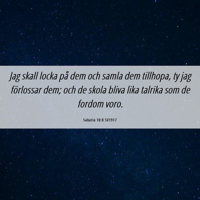 Picture 06 - Sakaria 10:8 SV1917 - Jag skall locka på dem och samla dem tillhopa, - Bible Verse Picture