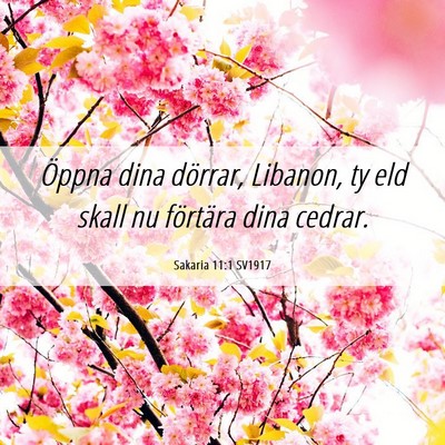 Picture 06 - Sakaria 11:1 SV1917 - Öppna dina dörrar, Libanon, ty eld skall nu - Bible Verse Picture