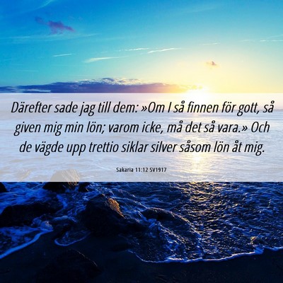 Picture 06 - Sakaria 11:12 SV1917 - Därefter sade jag till dem: »Om I så finnen - Bible Verse Picture