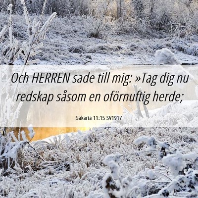 Picture 06 - Sakaria 11:15 SV1917 - Och HERREN sade till mig: »Tag dig nu redskap - Bible Verse Picture