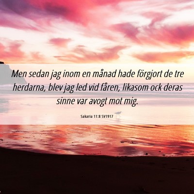 Picture 06 - Sakaria 11:8 SV1917 - Men sedan jag inom en månad hade förgjort de - Bible Verse Picture