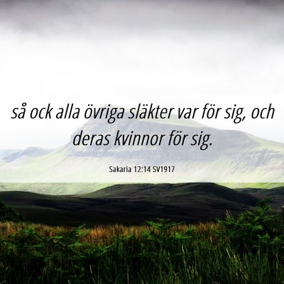 Picture 06 - Sakaria 12:14 SV1917 - så ock alla övriga släkter var för sig, och - Bible Verse Picture