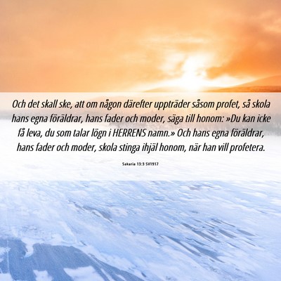 Picture 06 - Sakaria 13:3 SV1917 - Och det skall ske, att om någon därefter - Bible Verse Picture