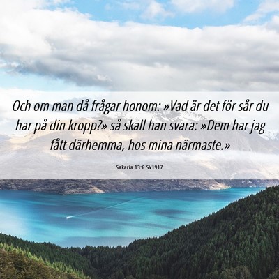 Picture 06 - Sakaria 13:6 SV1917 - Och om man då frågar honom: »Vad är det för - Bible Verse Picture