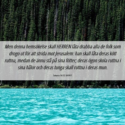 Picture 06 - Sakaria 14:12 SV1917 - Men denna hemsökelse skall HERREN låta drabba - Bible Verse Picture