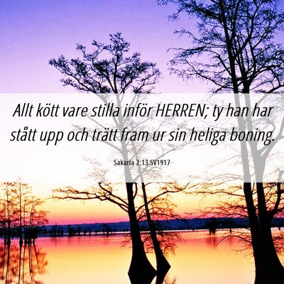 Picture 06 - Sakaria 2:13 SV1917 - Allt kött vare stilla inför HERREN; ty han har - Bible Verse Picture