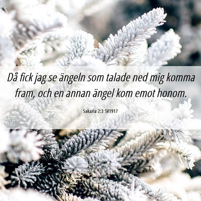 Picture 06 - Sakaria 2:3 SV1917 - Då fick jag se ängeln som talade ned mig komma - Bible Verse Picture