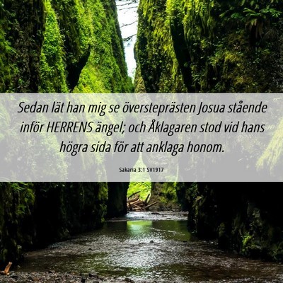 Picture 06 - Sakaria 3:1 SV1917 - Sedan lät han mig se översteprästen Josua - Bible Verse Picture