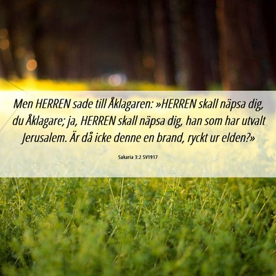 Picture 06 - Sakaria 3:2 SV1917 - Men HERREN sade till Åklagaren: »HERREN skall - Bible Verse Picture