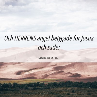 Picture 06 - Sakaria 3:6 SV1917 - Och HERRENS ängel betygade för Josua och - Bible Verse Picture