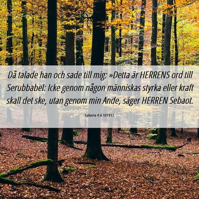 Picture 06 - Sakaria 4:6 SV1917 - Då talade han och sade till mig: »Detta är - Bible Verse Picture