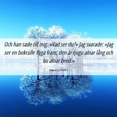 Picture 06 - Sakaria 5:2 SV1917 - Och han sade till mig: »Vad ser du?» Jag - Bible Verse Picture