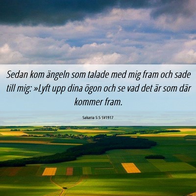 Picture 06 - Sakaria 5:5 SV1917 - Sedan kom ängeln som talade med mig fram och - Bible Verse Picture