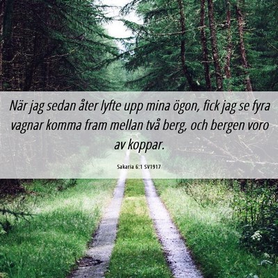 Picture 06 - Sakaria 6:1 SV1917 - När jag sedan åter lyfte upp mina ögon, fick - Bible Verse Picture