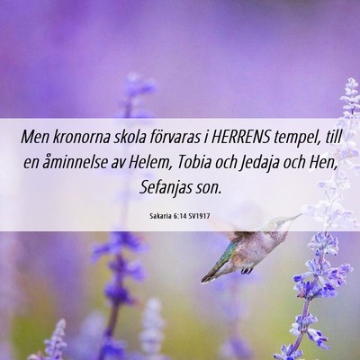 Picture 06 - Sakaria 6:14 SV1917 - Men kronorna skola förvaras i HERRENS tempel, - Bible Verse Picture