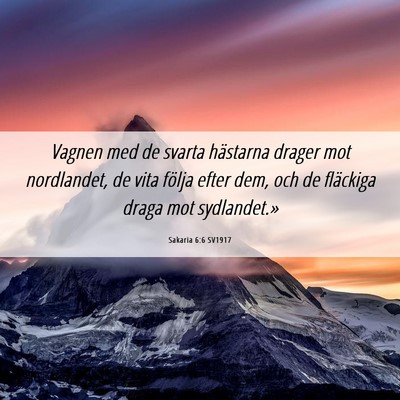 Picture 06 - Sakaria 6:6 SV1917 - Vagnen med de svarta hästarna drager mot - Bible Verse Picture