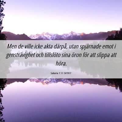 Picture 06 - Sakaria 7:11 SV1917 - Men de ville icke akta därpå, utan spjärnade - Bible Verse Picture