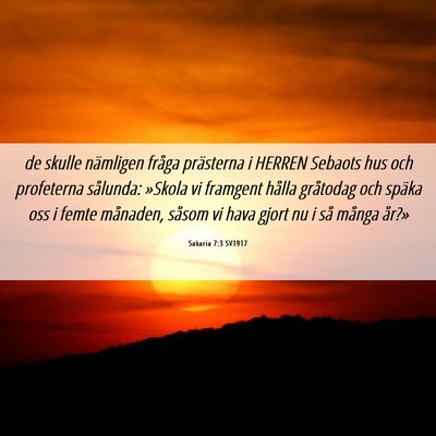 Picture 06 - Sakaria 7:3 SV1917 - de skulle nämligen fråga prästerna i HERREN - Bible Verse Picture