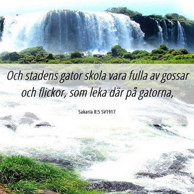 Picture 06 - Sakaria 8:5 SV1917 - Och stadens gator skola vara fulla av gossar och - Bible Verse Picture