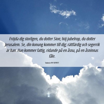 Picture 06 - Sakaria 9:9 SV1917 - Fröjda dig storligen, du dotter Sion; höj - Bible Verse Picture