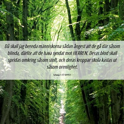 Picture 06 - Sefanja 1:17 SV1917 - Då skall jag bereda människorna sådan ångest - Bible Verse Picture