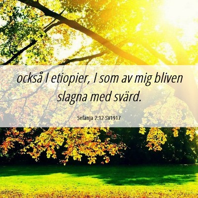 Picture 06 - Sefanja 2:12 SV1917 - också I etiopier, I som av mig bliven slagna med - Bible Verse Picture