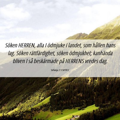 Picture 06 - Sefanja 2:3 SV1917 - Söken HERREN, alla I ödmjuke i landet, som - Bible Verse Picture