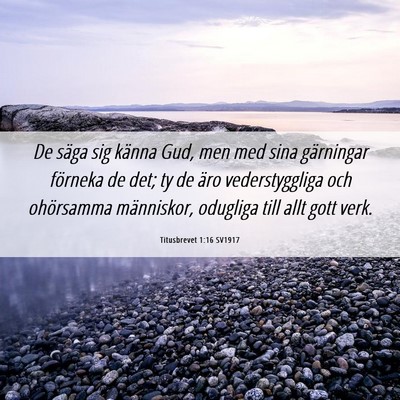 Picture 06 - Titusbrevet 1:16 SV1917 - De säga sig känna Gud, men med sina gärningar - Bible Verse Picture