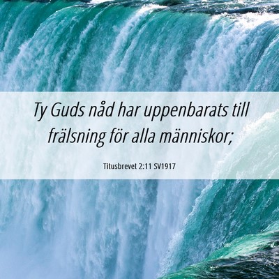 Picture 06 - Titusbrevet 2:11 SV1917 - Ty Guds nåd har uppenbarats till frälsning för - Bible Verse Picture