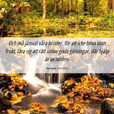 Picture 06 - Titusbrevet 3:14 SV1917 - Och må jämväl våra bröder, för att icke - Bible Verse Picture