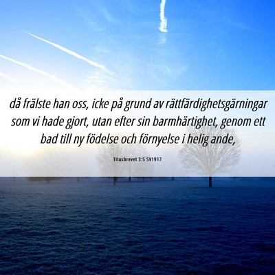 Picture 06 - Titusbrevet 3:5 SV1917 - då frälste han oss, icke på grund av - Bible Verse Picture