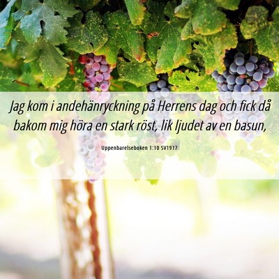 Picture 06 - Uppenbarelseboken 1:10 SV1917 - Jag kom i andehänryckning på Herrens dag och - Bible Verse Picture